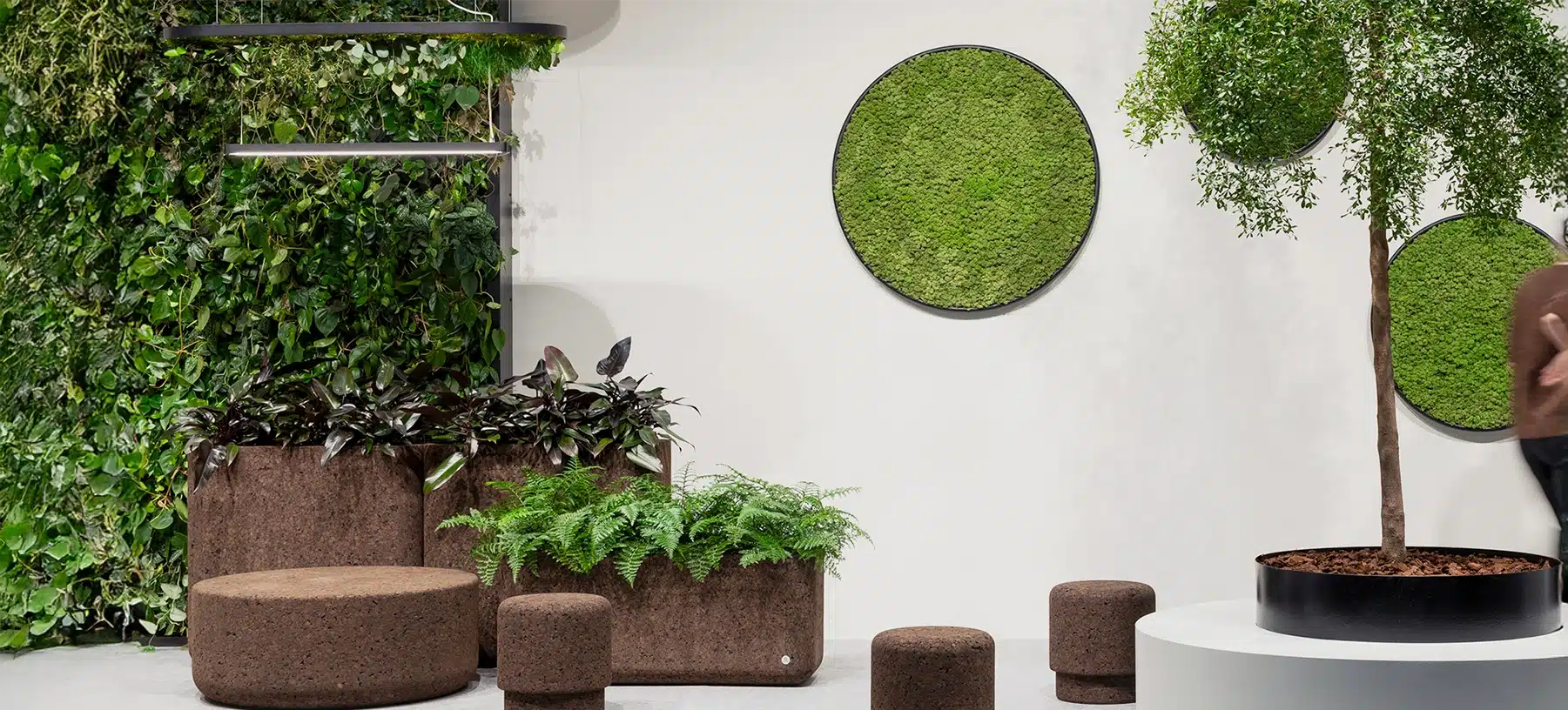 Jardin d'intérieur avec plantes et décoration murale verte.