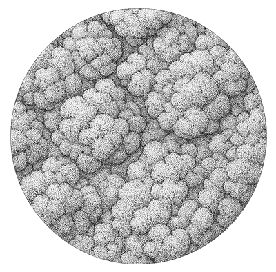Motif circulaire détaillé de textures tourbillonnantes.