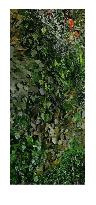 colors forest 02.webp