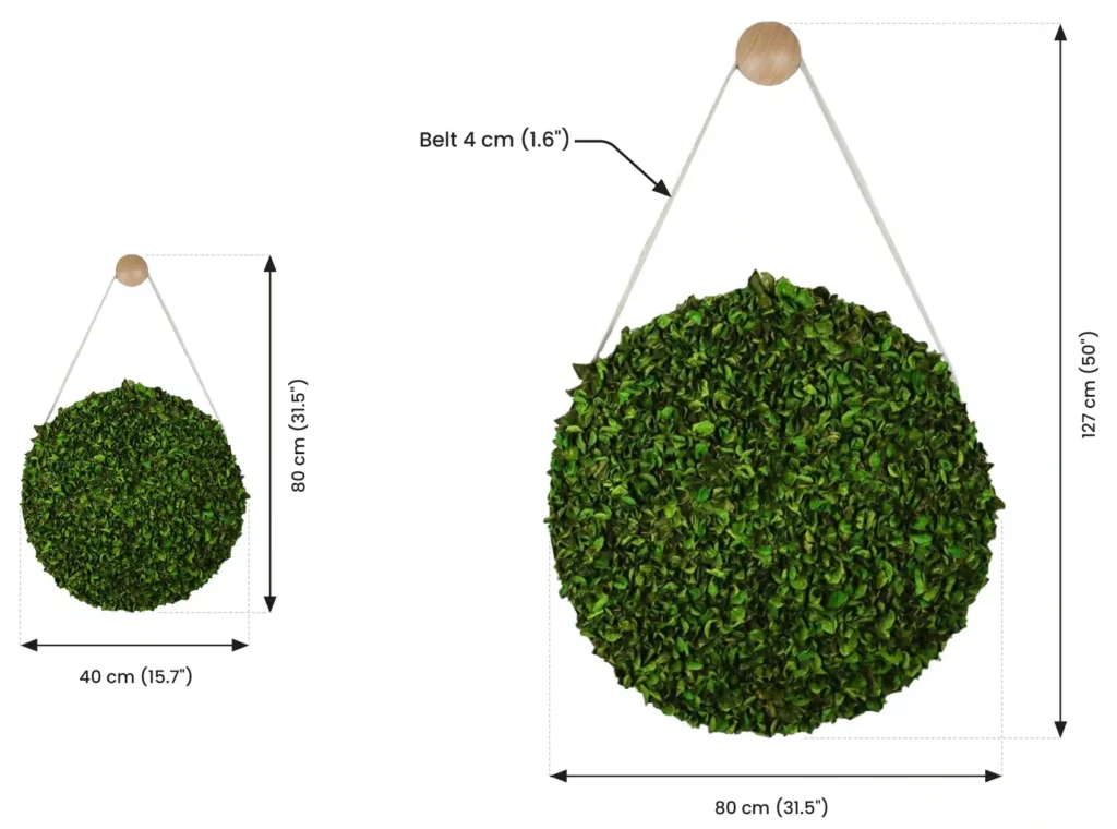 greenmood belt dimensions.webp
