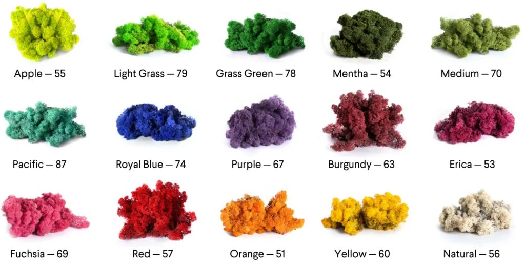 reindeer moss colors.webp